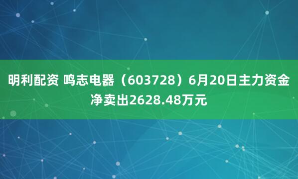 明利配资 鸣志电器（603728）6月20日主力资金净卖出2628.48万元